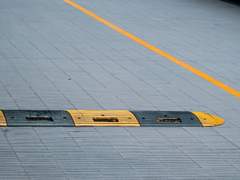 케케묵은 요리 재료로 뭘 할 수 있어요?