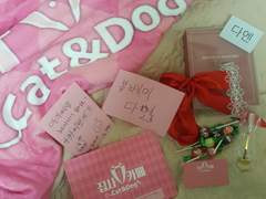 집사카페 캣&독 후기