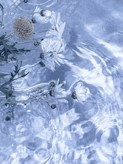 헤븐즈 가든의 새벽 2시 경에