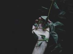 내가 자해를 했었던 이유. 1