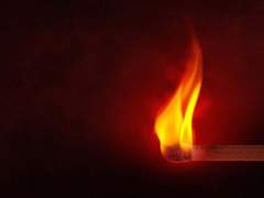 기어코 불꽃을 개화한 그대