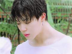 정국이 구하려고 짝사랑하던 지민이가 회귀하는 썰 完