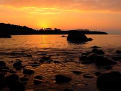 그 빛은 여명 너머까지 피어나