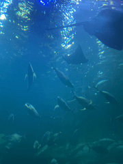 나, 그래도 이정도면 잘 살고있는 것 아닌가요?