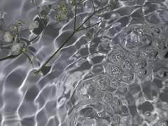 나한테 언제 넘어올래요?