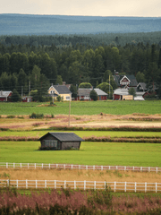 오늘도 파출소는 평화롭다