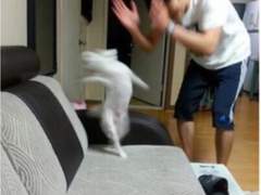 작가가 틱톡을 시작해버리고 말앗슈...