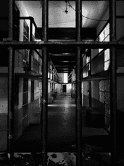 미스테리 수사반 '재결성'