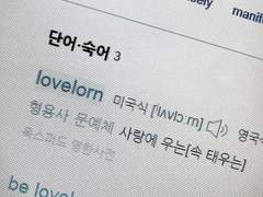 너랑 바다를 함께 헤엄치고 싶었는데