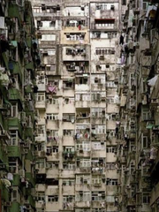 [갑타/준상] 정키 넘버 투!!