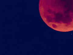 자월(紫月)의 밤 23화