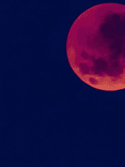 자월(紫月)의 밤