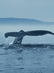 [돌려줘요, 내 몸!] 이현