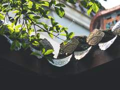 [광마] 가장 강한 사내