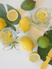 [2차창작] 레몬 소르베