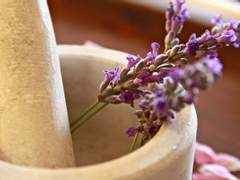 [레하루죤] 11.cafe : 라벤더 티