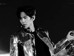 나만의 사랑스러운 호랑이. 26