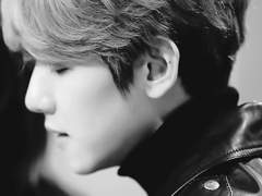 나만의 사랑스러운 호랑이. 28