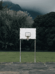 미국 벽 부슨 강백호