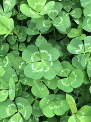 너를 위한 단어