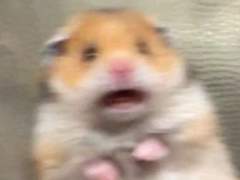 0819~20 ADHD인의 서울여행 일기.