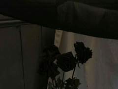 죽음과 사랑에는 형태적인 연관성이 있다