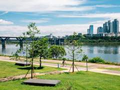 한강공원 아이와 피크닉, 연인 데이트 추천 장소