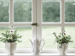 진이커 • 공개 프로필 A