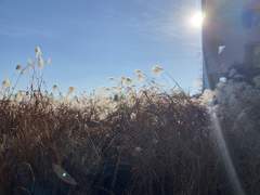 [명헌태섭] 도와줘요, 뿅뿅이! (4)