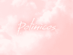 ✎___ 질의 응답