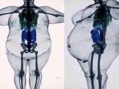 학생으로써 진짜 현실적으로 감량하는법