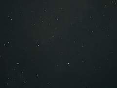 서글프고 안온한 별빛