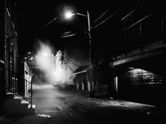 𝕎𝕙𝕚𝕥𝕖 𝔻𝕒𝕪