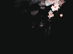 2. 중학교 2학년