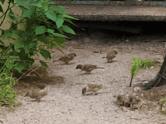 브베의 일상 - 열심히 살아가는 모든 것들에 경의를 표한다.