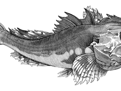 엘리라하빛전 "세 사람의 비밀" 04-2