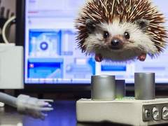 주식 고수라면 이것을 반드시 알고 있다