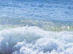 왕과 소시민의 일상