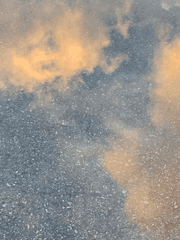 삶과 죽음과 인생과 누군가