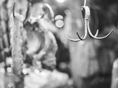 어디서 무엇이 되어 다시 만나랴 01