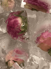 내가 너를 기억하는 방법