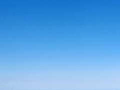 넌 삶을 바라고