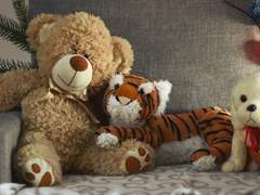 사랑 XX 자시키와라시