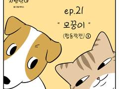 🐱우리집 지랄냥이 : 21화🐱