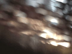 나의 일기장에게 5