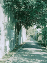 여름에 대한 고찰