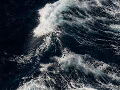 [진쉐리] 심해어의 뱃속을 갈라라