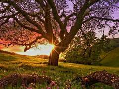 [소옆경] 그들한테 평화와 안식을