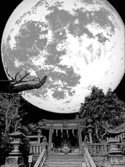 어떤 자살은 가해였다 아주 최종적인 형태의 가해였다