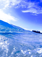 그곳이 지옥이더라도